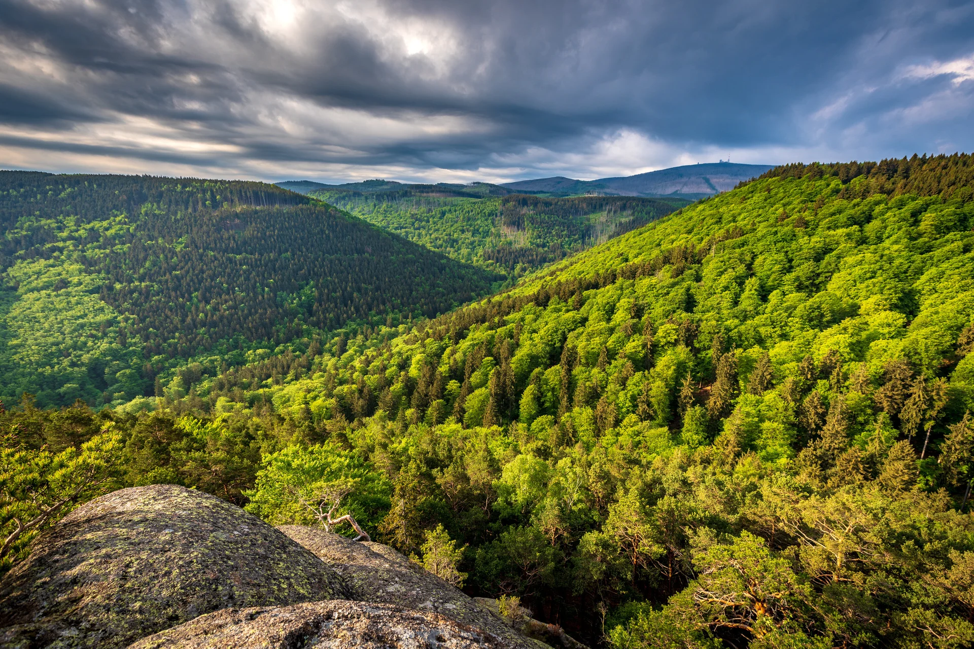 Harzer Wald mit Brockenblick | © Mirko Lehmann